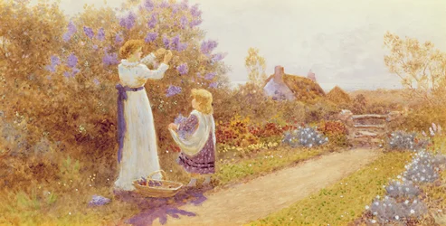 Lillà